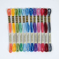 DMC Broderigarn - Variegated 12 stk