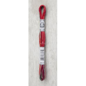 DMC Moulin� Multi Color Broderigarn Farve 4517