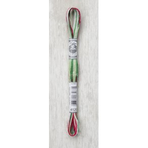 DMC Moulin Multi Color Broderigarn Frg 4520