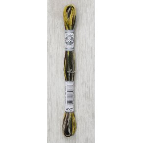 DMC Moulin Multi Color Broderigarn Frg 4521